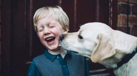 Vet explains why it's time for pet parents to rethink face-licks