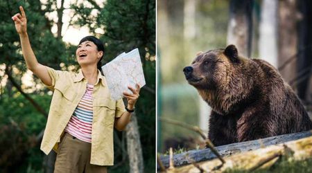 A Grizzly bear came charging at woman during a trip and she did the only thing she could — and it ended up saving her life
