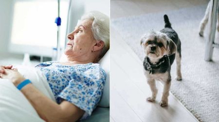 Frantic poodle's non-stop barking forced woman to check the window — her instant 911 call saved her neighbor's life