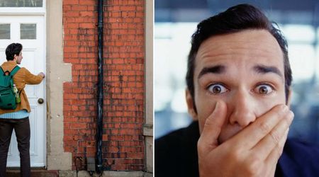 She checked her home cam from work and saw her boyfriend panicking and waving — but the real story had her laughing nonstop