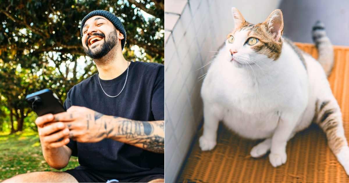 (L) Man laughing out loud while texting on phone. (R) Obese cat looking out window while sitting at home. (Representative Cover Image Source: L - Pexels| Matheus Bertelli, R - Unsplash| Sherman Kwan)