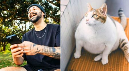 Cat-sitting Boyfriend uses AI to make girlfriend's cat fat as part of elaborate prank and she lost it: 'WTF you been feeding him?'