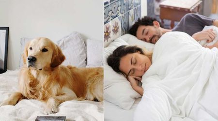 Dog woke up owner with vicious barking at midnight. The woman realized her husband wasn't breathing and needed immediate CPR 