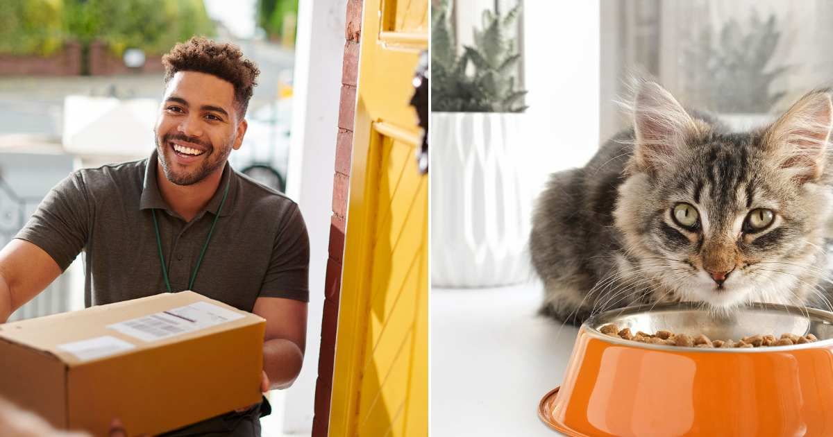 (L) A man delivering a parcel. Representative Cover Image Source: Getty Images | sturti   (R) A cat sitting on the windowsill and eating food.  Representative Cover Image Source: Getty Images | Marina Demidiuk