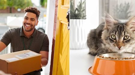 Woman spotted Amazon driver slipping something into her stray cat’s food bowl on her Ring camera — she instantly ran out to yell thanks