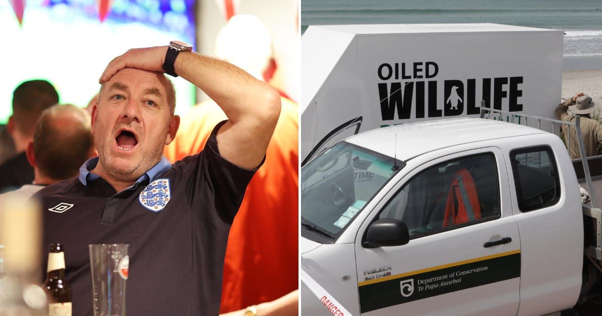 (L) An image of a man at a bar in shock. Representative Cover Image Source: Getty | Carl Recine (R) An image of the Department of Conservation's van. Representative Cover Image Source: Pexels | Bradley Ambrose