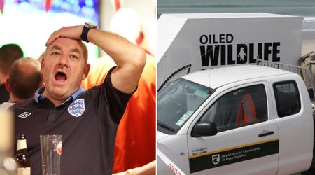 Pet-friendly tavern thought a ‘dog’ had walked in — but when they realized it was actually 'wild life,' they rang for help