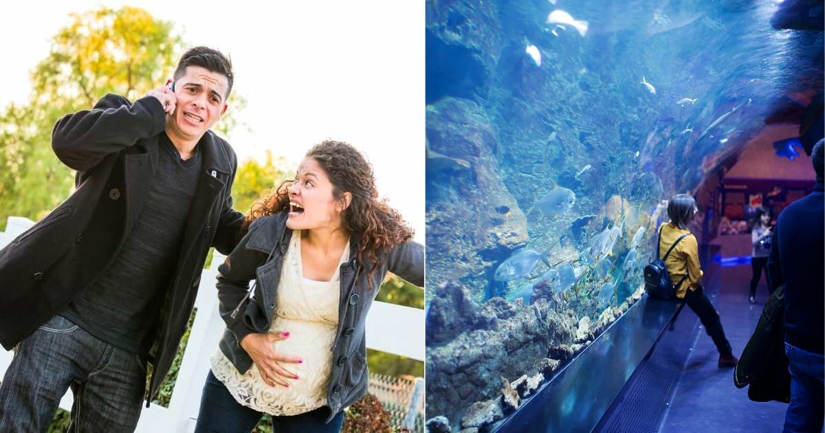 (L) Pregnant Woman In Pain While Husband Uses Cell Phone. Representative Cover Image Source: Getty Images | Feverpitched (R) An image of people at an aquarium. Representative Cover Image Source: Pexels | Abdulmomen Bsruki