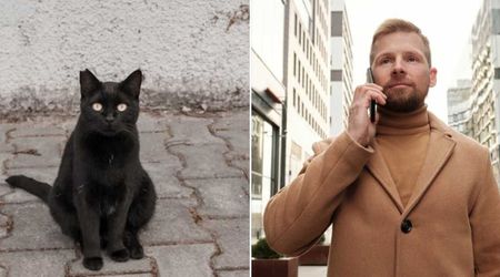 Man’s cat disappeared on their trip home—5 months later, a stranger allergic to cats drove 8 hours to deliver the early Christmas gift