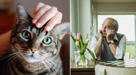 Husband was devastated after late wife's 17-yr-old cat went missing. Neighbor ditched anniversary to pull off daring rescue in heels