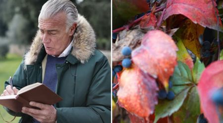 86-yr-old man choking on leaf spat it out but two local 'enforcers' fined him $335 citing weird rule