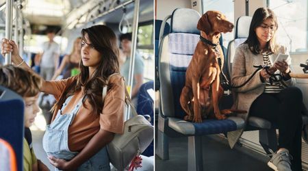 Dog sensed a woman on the subway train was pregnant. His silent gesture towards her left commuters stunned