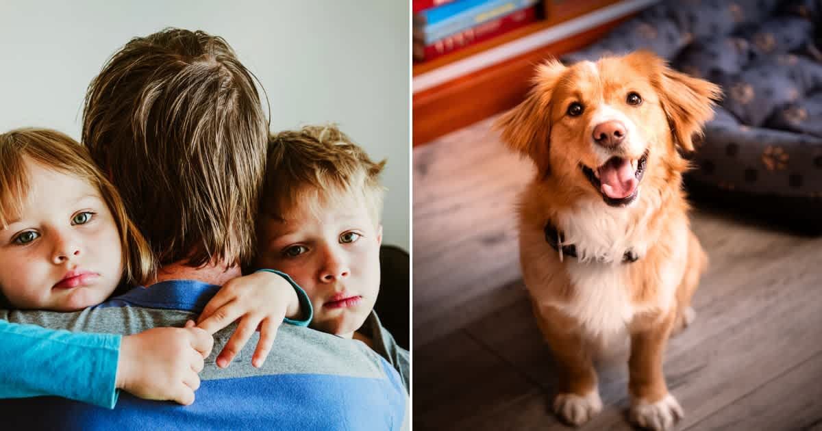  (L) A family in sorrow, a little boy and girl hugging their father. Representative Cover Image Source: Getty Images | Nadezhda1906 (R) A cheerful dog sitting on the floor. Representative Cover Image Source: Getty Images | Anita Kot