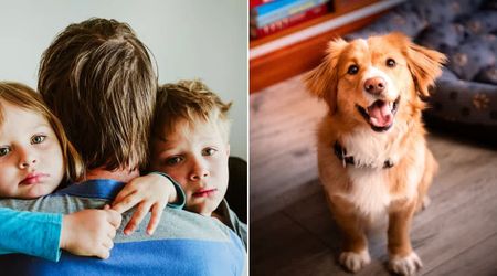 Trainer brought a rescue dog to his new home — and the moment he realized he wasn't going back was caught on camera