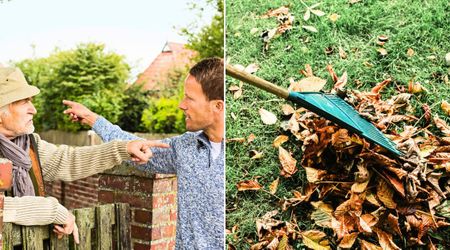 Petty neighbor jumped the gate to rake leaves in her yard. Her response the next day left him cussing
