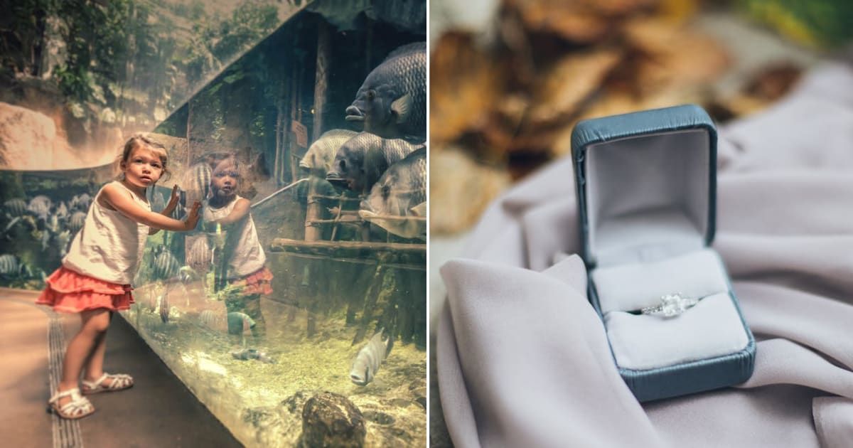 (L) Little girl at an aquarium. (R) A ring in a box. Representative Cover Image Source: Pexels | Andrzej Mucka; Elina Sazonova