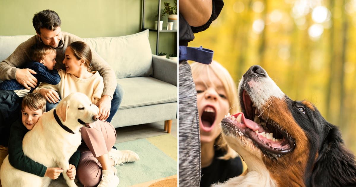 (L) A Loving Family at Home with a dog. Representative Cover Image Source: Getty Images | SeventyFour (R) A boy and an adult with a dog. Representative Cover Image Source: Getty Images | Paul Biris