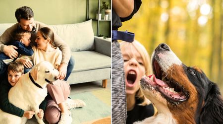 Shelter dog came with warning note to keep him away from children — his first reaction to their 3-year-old melted their hearts