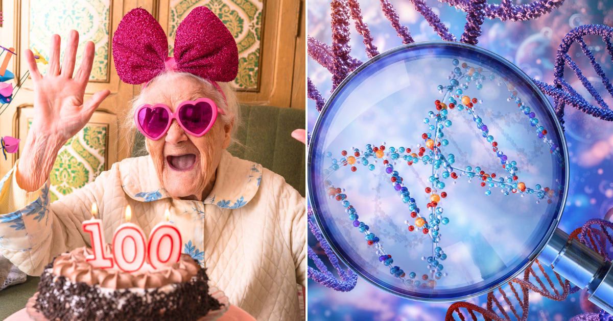 (L) An old woman celebrating 100th birthday. Representative Cover Image Source: Getty Images | MEDITERRANEAN (R) Digital Illustration of DNA  Representative Cover Image Source: Getty Images | RUSLANAS BARANAUSKAS/SCIENCE PHOTO LIBRARY