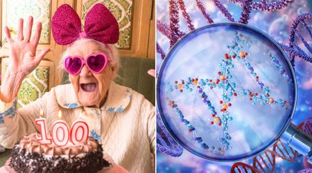 Scientists found ancient DNA patterns that may explain why some people live past 100