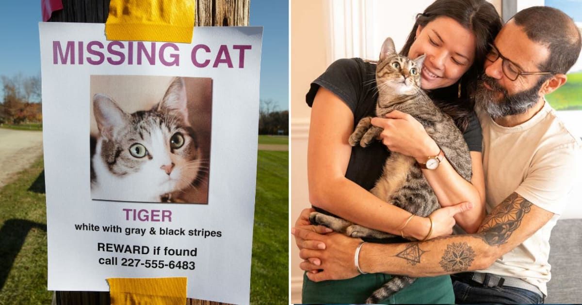 (L) A missing cat poster, (R) A happy couple hugging their pet cat.  (Representative Image Source: Getty Images | (L)Jeffrey Coolidge, (R) Jennifer Bakken)
