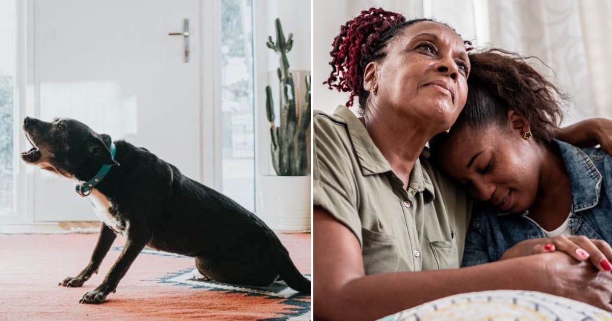 (L) Dog barking; (R) Mom hugging daughter. (Cover image source: Getty Images: Photo by (L) Catherine Falls Commercial; (R) FG Trade Latin)