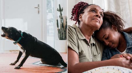 Dog’s bark jolted a mother and daughter awake in their trailer — 30 seconds later, a near-tragedy had them thanking their lucky stars