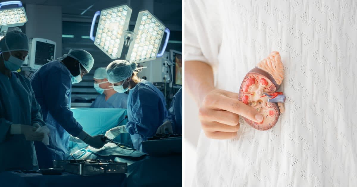 (L) Doctors performing surgery; (R) Kidney donor (Representative cover image source: Getty | Photo by (L) gorodenkoff; (R) SewcreamStudio)