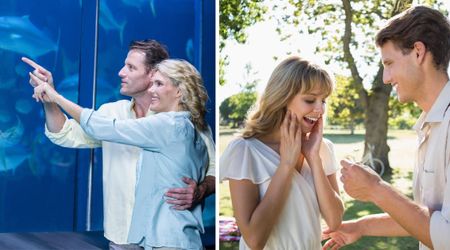 Swimmer thought  underwater proposal in a shark-filled aquarium was dreamy — what her boyfriend pulled out instead of a ring proved he was ‘the one’