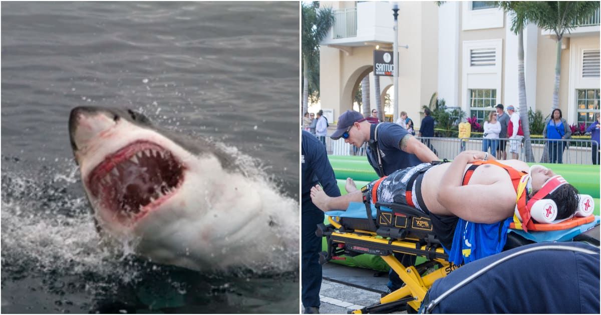 (L ) A shark in the ocean ; (R) An injured man taken to the hospital by the paramedics (Representative Cover Source: Getty Images | Photo by (L) Peter_Nile ; (R) Jodi Jacobson)