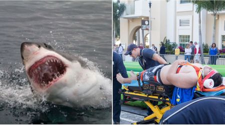 Shark attack severed a surfer’s leg and left him with just 5% chance of survival — until one word he screamed in pain changed his fate