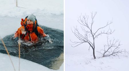 Woman walking her dog suddenly fell through a frozen lake — she feared the worst until her hand latched onto a branch