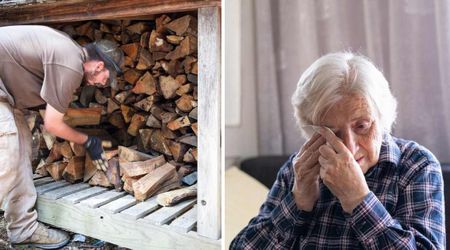 Grieving 85-year-old widow asked for firewood. The company boss showed up with it for free — her reaction was priceless