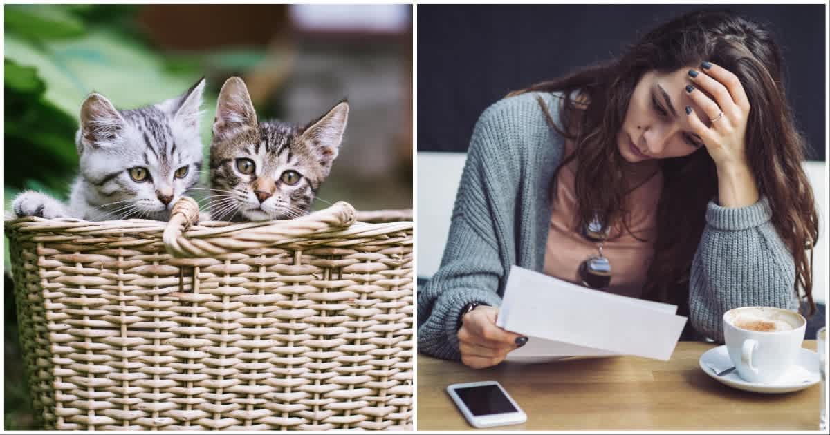 (L ) Two cats abandoned in a basket ; (R) A woman looks sad reading a letter at a cafe (Representative Cover Source: Getty Images | Photo by (L) Konstantin Voronov ; (R) Mixmike)