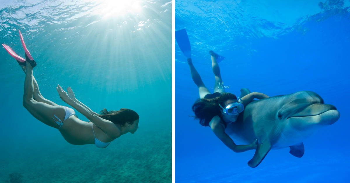 (L) A pregnant woman diving into an ocean; (R) A woman helpinga  dolphin (Representative cover image source: Getty | Photo by (L) 	M Swiet Productions; (R) 	Justin Lewis)