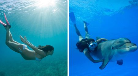 Pregnant diver jumped in to help a bleeding dolphin struggling beside her boat — moments later, entire pod surrounded her for a heartwarming reason