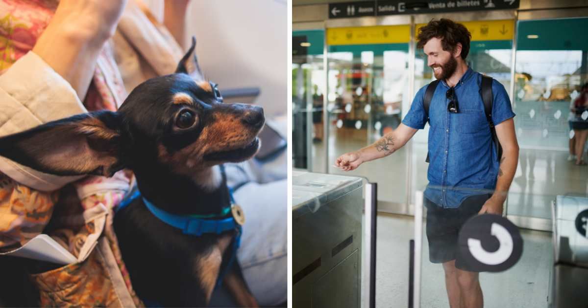 (L) Puppy with owner on plane. (R) Man exiting airport. (Representative Cover Image Source: Getty Images | (L) Nikolay Tsuguliev, (R) Adene Sanchez)
