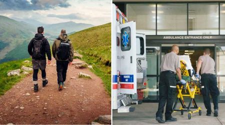 Two hikers followed a trail of blood at sunset — it led them to a desperate discovery at the bottom of a slope