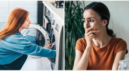 She started a fresh load in the washing machine and walked away — 30 seconds later, an intense howl sent her running back