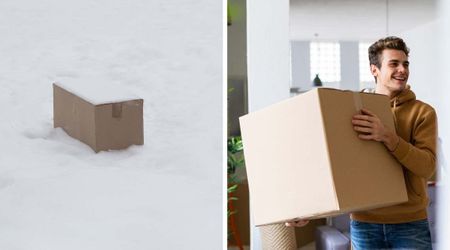 Man spotted a cardboard box abandoned on a snowy road — he rushed to bring it home after seeing what was inside
