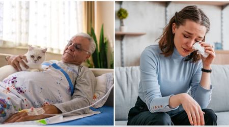 Man battling cancer got to pet a nursing home visitor’s cat in his final days — then his simple request had everyone wiping away tears