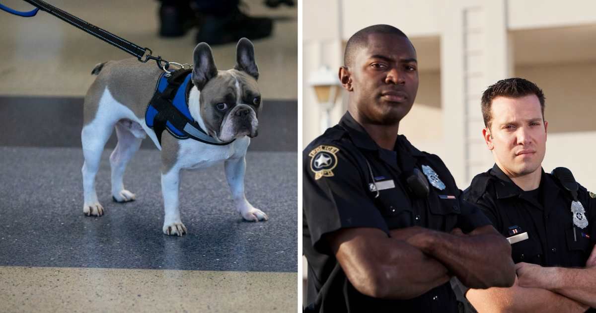 (L) Pet dog at airport. (R) Cops with disappointed expression. (Representative Cover Image Source: Getty Images | (L) David McNew, (R) Kali9)