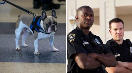 Cops tracked down dog owner who left her 2-year-old pup at the airport — and her excuse for abandoning the pet left officers in disbelief