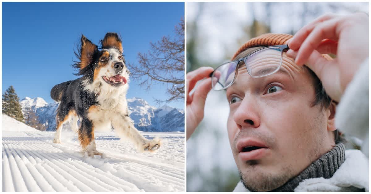 (L ) A dog running in the snow; (R) A man looks shocked, standing outside a snowy woods (Representative Cover Image Source: Getty Images | Photo by (L) AscentXmedia ; (R) Elena Perova)