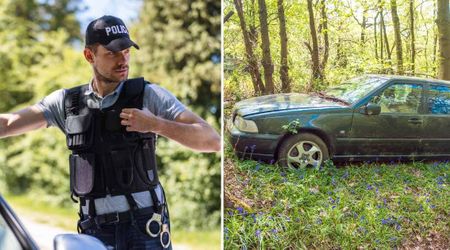 Cop started barking like a dog after teen car theft suspects disappeared into the woods — and the chase took an unexpected turn