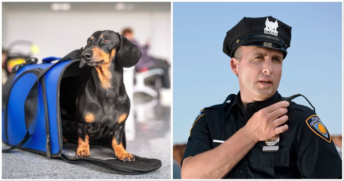 (L ) A dog left alone in an airport ; (R) A cop talking to someone (Representative Cover Image Source: Getty Images | Photo by (L) Ирина Мещерякова ; (R) Thinkstock Images)