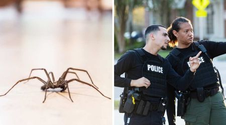 Neighbor tried to stop a man during a spider-killing spree — the fallout has now led Pennsylvania cops to look for him on multiple charges