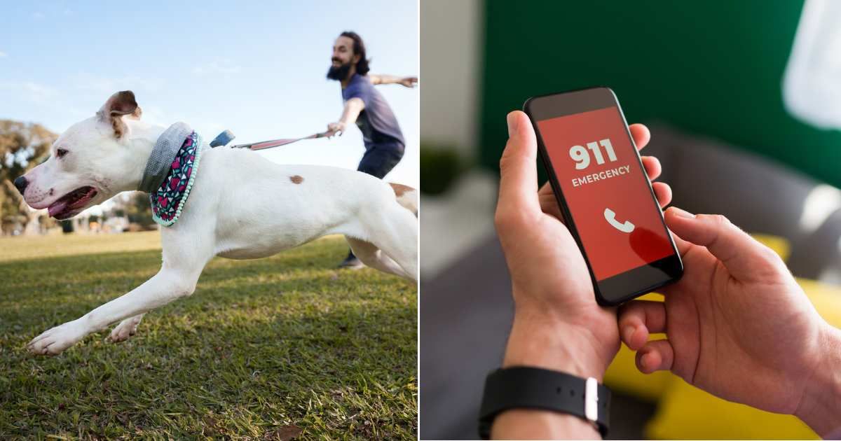 A dog running while the owner tries to pull it back by its leash (L). Man dialing 911 (R) (Representative Cover Image Source: Getty Images | Photo by Capuski and Antonio_Diaz)