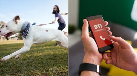 Man and his dog walked past the same house for 9 years — one day his dog went wild and pulled him toward it, prompting a 911 call