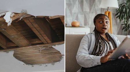 Houston family was left shell-shocked after something heavy tore through their roof after a loud explosion — NASA later confirmed their fear